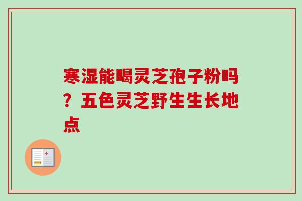 寒湿能喝灵芝孢子粉吗？五色灵芝野生生长地点
