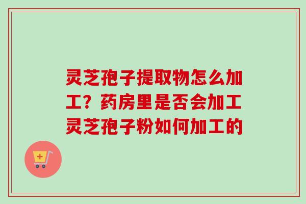 灵芝孢子提取物怎么加工？药房里是否会加工灵芝孢子粉如何加工的