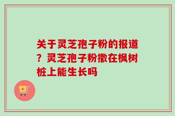 关于灵芝孢子粉的报道？灵芝孢子粉撒在枫树桩上能生长吗