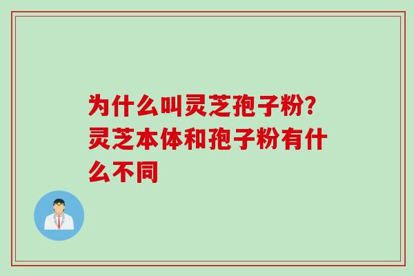 为什么叫灵芝孢子粉?灵芝本体和孢子粉有什么不同 为什么叫灵芝孢子粉?灵芝本体和孢子粉有什么不同