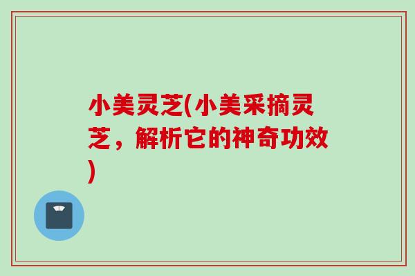 小美灵芝(小美采摘灵芝，解析它的神奇功效)