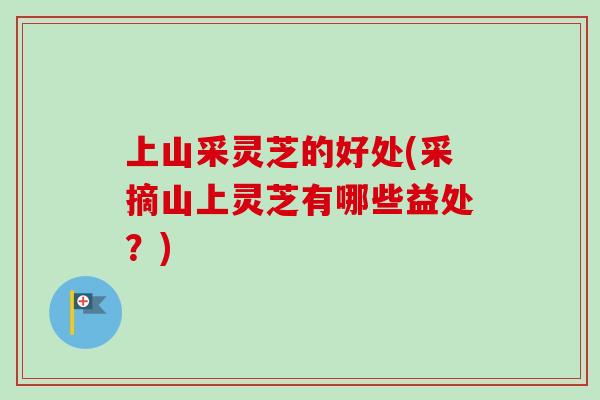 上山采灵芝的好处(采摘山上灵芝有哪些益处？)