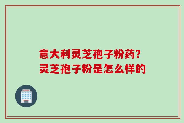 意大利灵芝孢子粉药？灵芝孢子粉是怎么样的