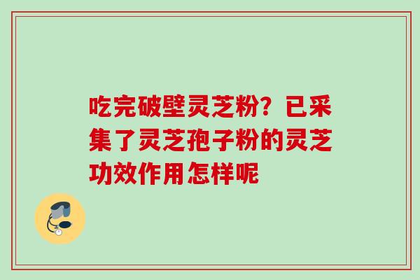 吃完破壁灵芝粉？已采集了灵芝孢子粉的灵芝功效作用怎样呢
