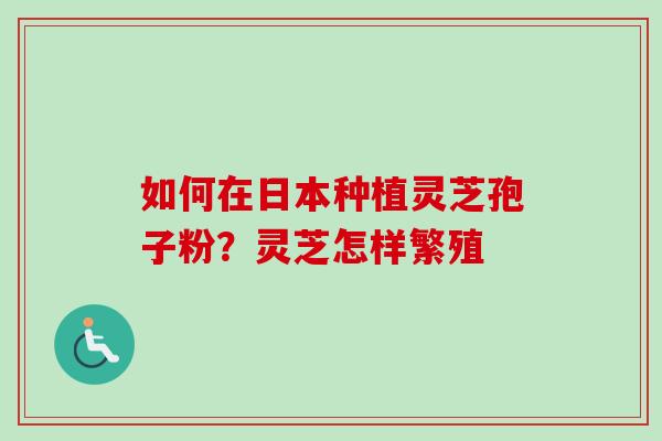 如何在日本种植灵芝孢子粉？灵芝怎样繁殖