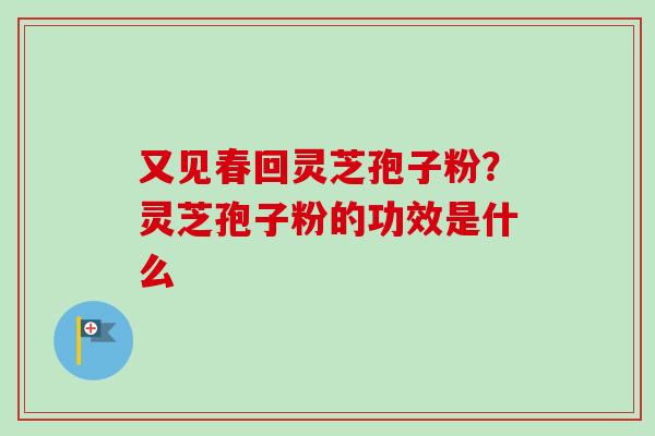 又见春回灵芝孢子粉？灵芝孢子粉的功效是什么