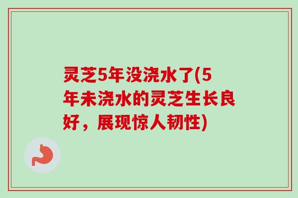 灵芝5年没浇水了(5年未浇水的灵芝生长良好，展现惊人韧性)