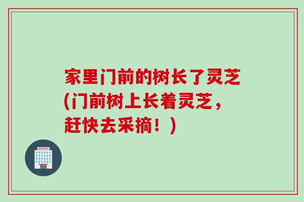 家里门前的树长了灵芝(门前树上长着灵芝，赶快去采摘！)