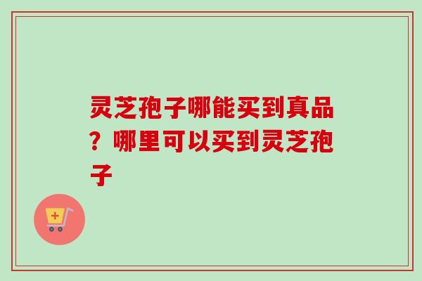 灵芝孢子哪能买到真品？哪里可以买到灵芝孢子