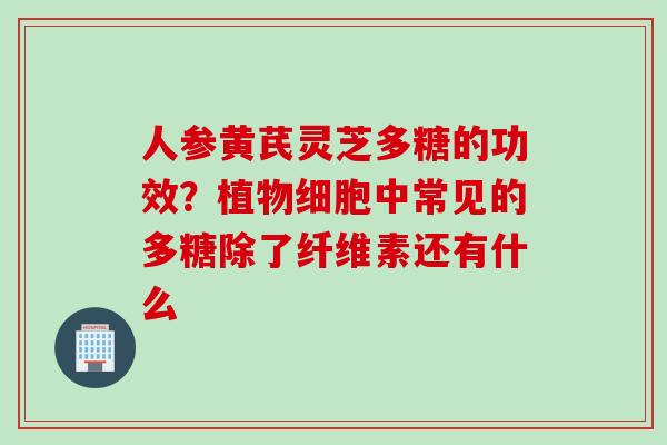 人参黄芪灵芝多糖的功效？植物细胞中常见的多糖除了纤维素还有什么