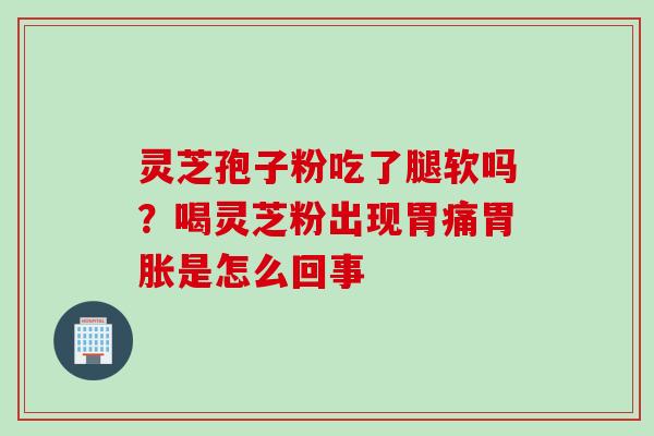 灵芝孢子粉吃了腿软吗？喝灵芝粉出现胃痛胃胀是怎么回事