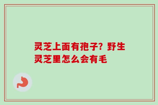 灵芝上面有孢子？野生灵芝里怎么会有毛