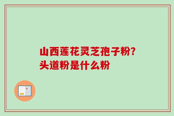 山西莲花灵芝孢子粉？头道粉是什么粉