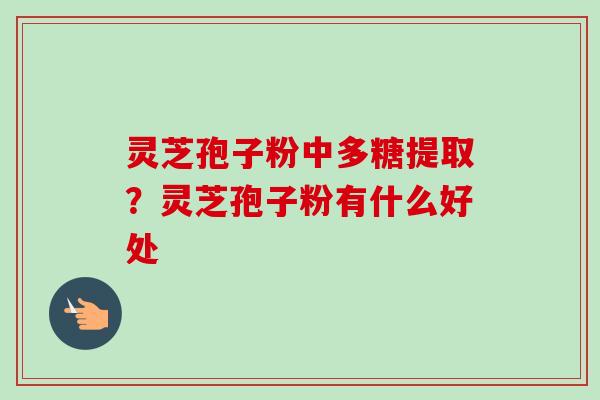 灵芝孢子粉中多糖提取？灵芝孢子粉有什么好处