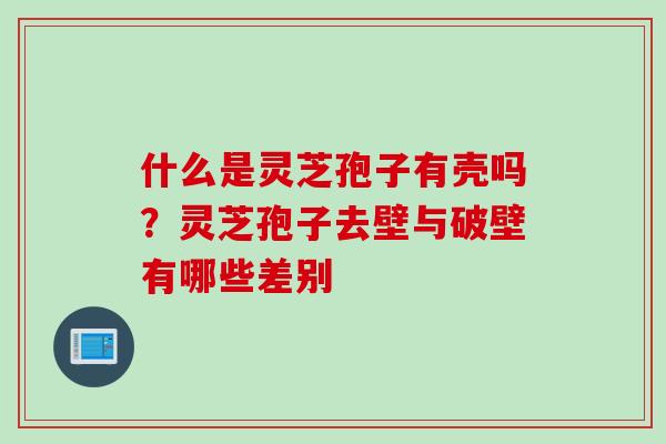 什么是灵芝孢子有壳吗?灵芝孢子去壁与破壁有哪些差别 什么是灵芝孢子有壳吗?灵芝孢子去壁与破壁有哪些差别