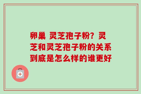 卵巢 灵芝孢子粉?灵芝和灵芝孢子粉的关系到底是怎么样的谁更好 卵巢 灵芝孢子粉?灵芝和灵芝孢子粉的关系到底是怎么样的谁更好