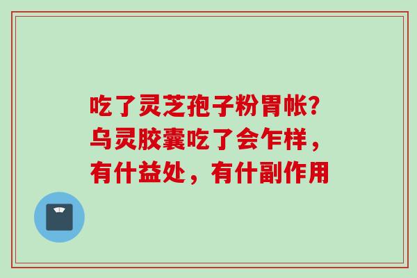 吃了灵芝孢子粉胃帐？乌灵胶囊吃了会乍样，有什益处，有什副作用