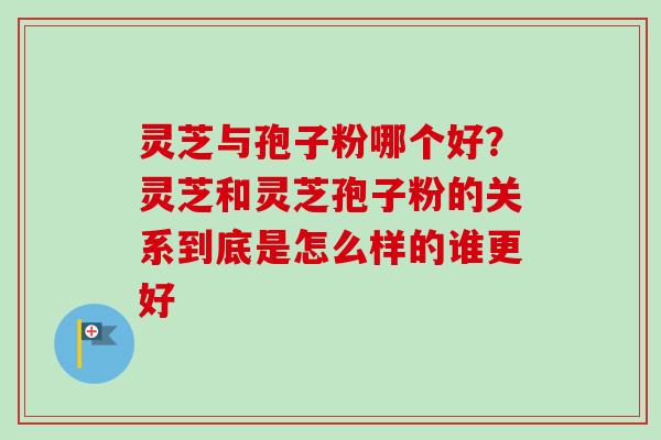 灵芝与孢子粉哪个好？灵芝和灵芝孢子粉的关系到底是怎么样的谁更好