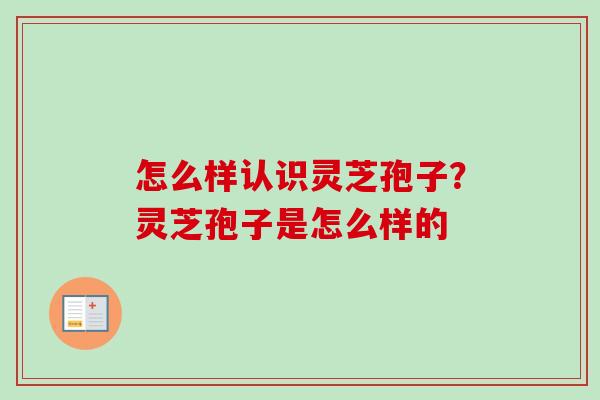 怎么样认识灵芝孢子?灵芝孢子是怎么样的 怎么样认识灵芝孢子?灵芝孢子是怎么样的