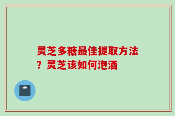 灵芝多糖最佳提取方法？灵芝该如何泡酒