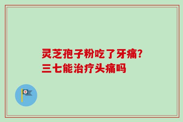 灵芝孢子粉吃了牙痛？三七能治疗头痛吗