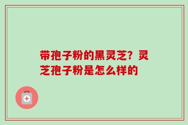 带孢子粉的黑灵芝?灵芝孢子粉是怎么样的 带孢子粉的黑灵芝?灵芝孢子粉是怎么样的