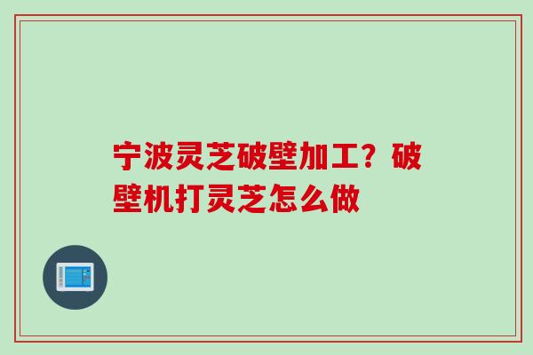 宁波灵芝破壁加工？破壁机打灵芝怎么做