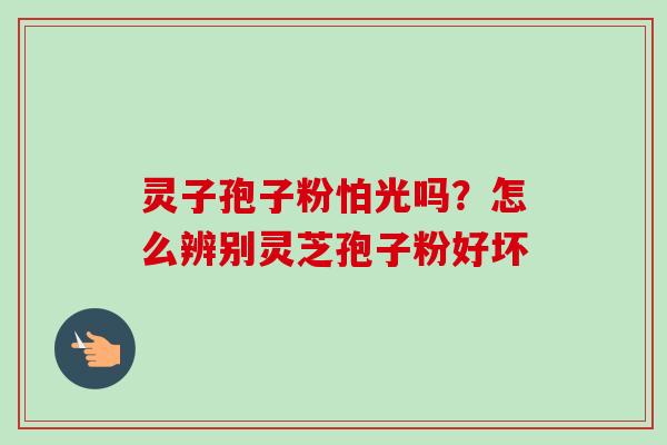 灵子孢子粉怕光吗？怎么辨别灵芝孢子粉好坏