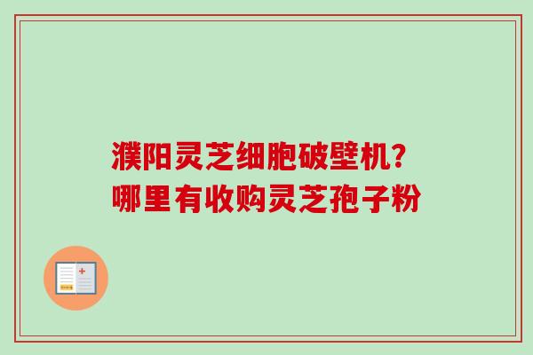 濮阳灵芝细胞破壁机？哪里有收购灵芝孢子粉