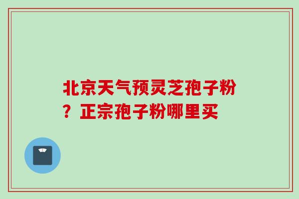 北京天气预灵芝孢子粉？正宗孢子粉哪里买