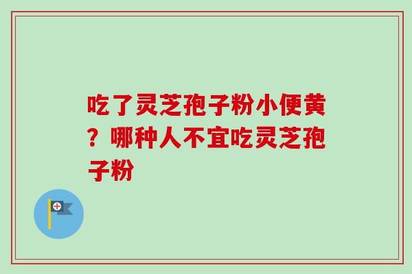 吃了灵芝孢子粉小便黄？哪种人不宜吃灵芝孢子粉