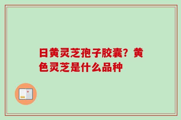 日黄灵芝孢子胶囊？黄色灵芝是什么品种