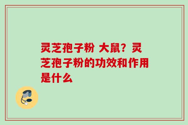 灵芝孢子粉 大鼠?灵芝孢子粉的功效和作用是什么 灵芝孢子粉 大鼠?灵芝孢子粉的功效和作用是什么