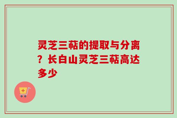灵芝三萜的提取与分离?长白山灵芝三萜高达多少 灵芝三萜的提取与分离?长白山灵芝三萜高达多少