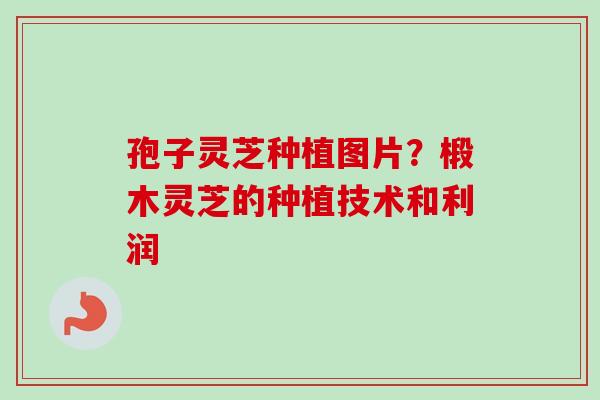 孢子灵芝种植图片?椴木灵芝的种植技术和利润 孢子灵芝种植图片?椴木灵芝的种植技术和利润