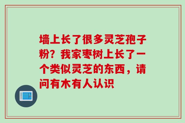 墙上长了很多灵芝孢子粉？我家枣树上长了一个类似灵芝的东西，请问有木有人认识