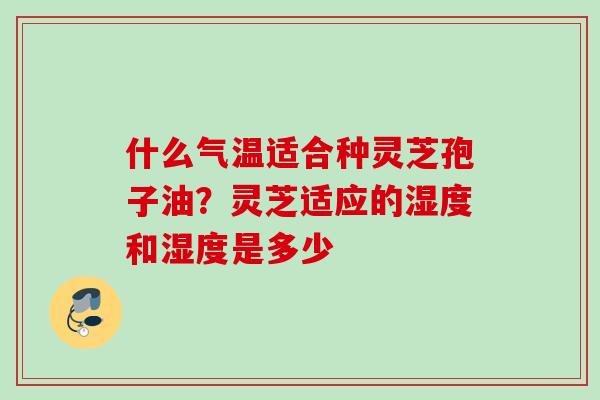 什么气温适合种灵芝孢子油?灵芝适应的湿度和湿度是多少 什么气温适合种灵芝孢子油?灵芝适应的湿度和湿度是多少