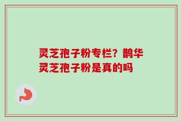 灵芝孢子粉专栏?鹊华灵芝孢子粉是真的吗 灵芝孢子粉专栏?鹊华灵芝孢子粉是真的吗