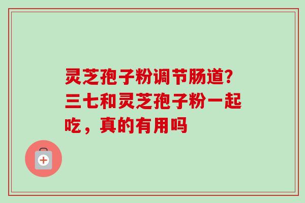 灵芝孢子粉调节肠道？三七和灵芝孢子粉一起吃，真的有用吗