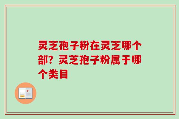灵芝孢子粉在灵芝哪个部?灵芝孢子粉属于哪个类目 灵芝孢子粉在灵芝哪个部?灵芝孢子粉属于哪个类目