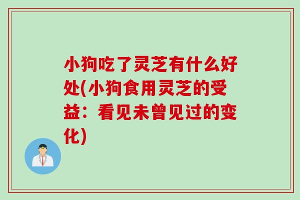 小狗吃了灵芝有什么好处(小狗食用灵芝的受益：看见未曾见过的变化)