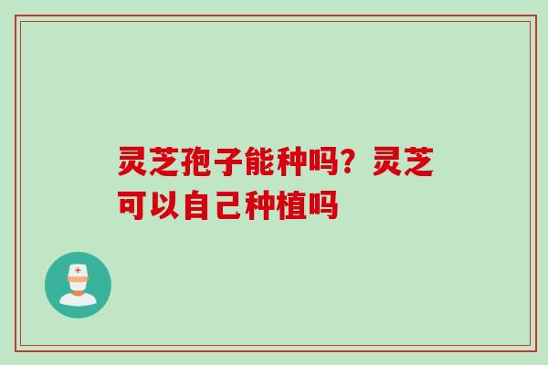 灵芝孢子能种吗？灵芝可以自己种植吗