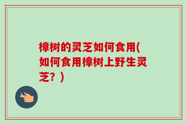 樟树的灵芝如何食用(如何食用樟树上野生灵芝？)