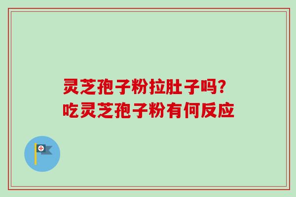 灵芝孢子粉拉肚子吗?吃灵芝孢子粉有何反应 灵芝孢子粉拉肚子吗?吃灵芝孢子粉有何反应