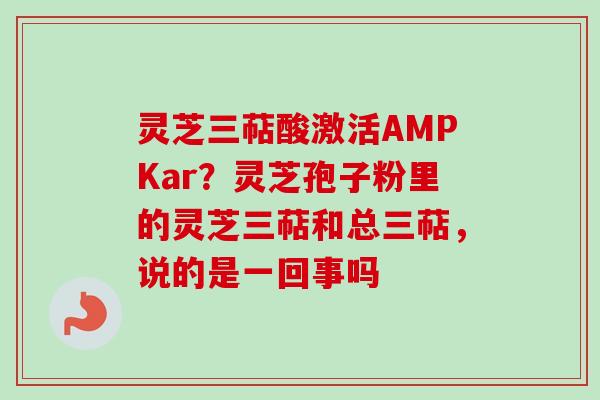 灵芝三萜酸激活AMPKar？灵芝孢子粉里的灵芝三萜和总三萜，说的是一回事吗