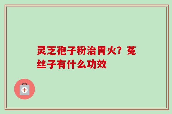灵芝孢子粉治胃火？菟丝子有什么功效