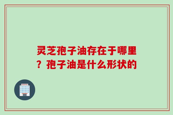 灵芝孢子油存在于哪里？孢子油是什么形状的