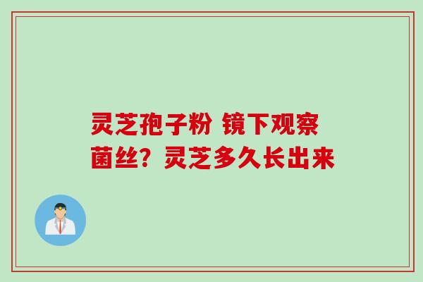 灵芝孢子粉 镜下观察菌丝？灵芝多久长出来