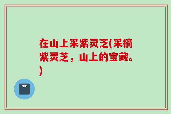 在山上采紫灵芝(采摘紫灵芝，山上的宝藏。)
