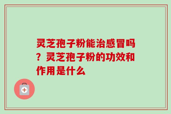 灵芝孢子粉能治感冒吗？灵芝孢子粉的功效和作用是什么